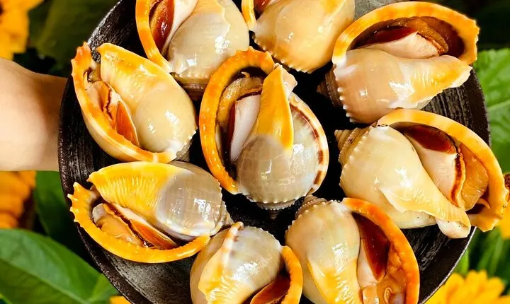 Hanoi Michelin Selected Street Food Walking Tour