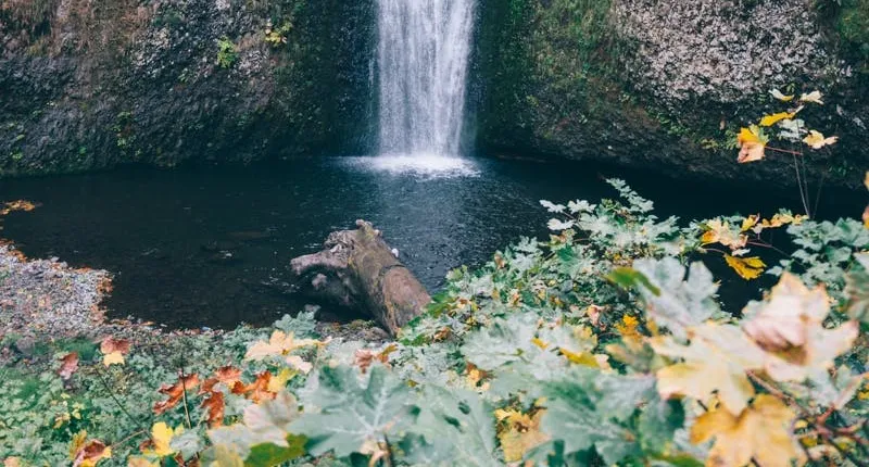 Afternoon half-day to Multnomah Falls and River Gorge Waterfalls