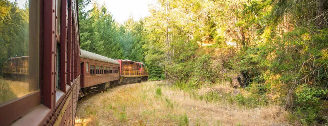 Willits Wolf Tree Turn tickets