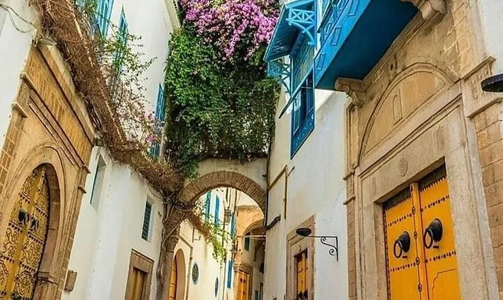 Tour of Tunis Carthage and Sidi Boussaid with local lunch