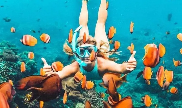 Bali Blue Lagoon Snorkeling - Lunch and Transport All Inclusive