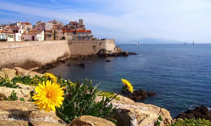 Private 4-hour Tour of Cannes and Antibes from Cannes with private driver