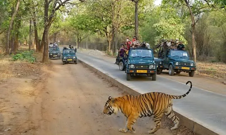 4 Days Golden Triangle Tour with Ranthambore Tigers Safari
