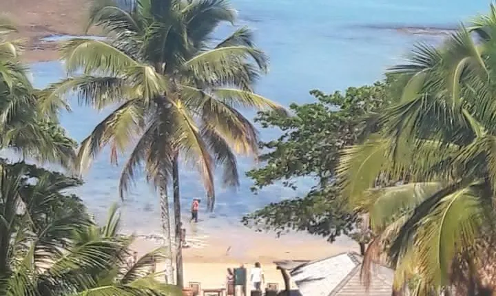 Full-day tour to Praia do Espelho from Porto Seguro