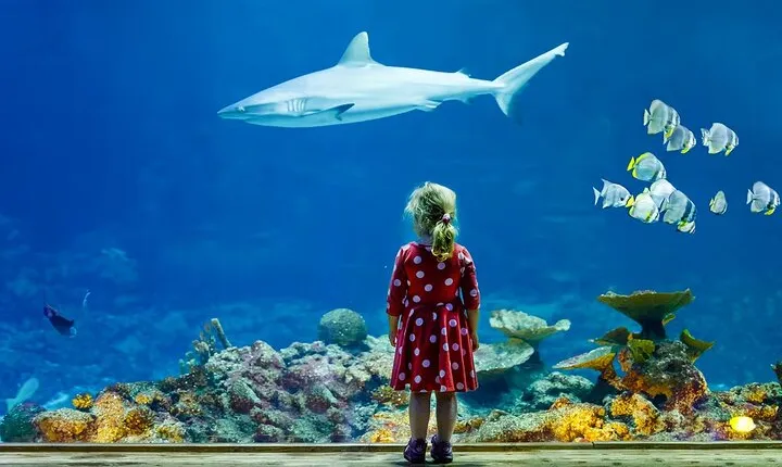 Aquarium de Paris Priority Access Tickets