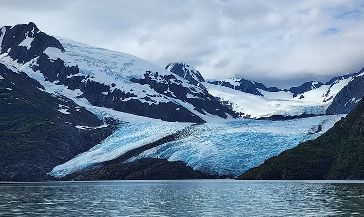 Valley of Glaciers Experience with Portage Glacier Cruise and Wildlife Tour