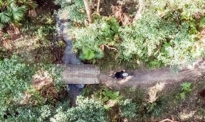 Noosa eMtn Bike Tour: Exploring a National Park on Fun MTB Trails