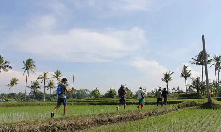 Bali Village Trekking Tour