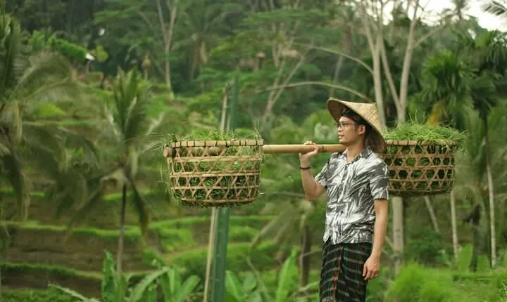 Private Tour : Best of Ubud and Tanah Lot Temple with All inclusive