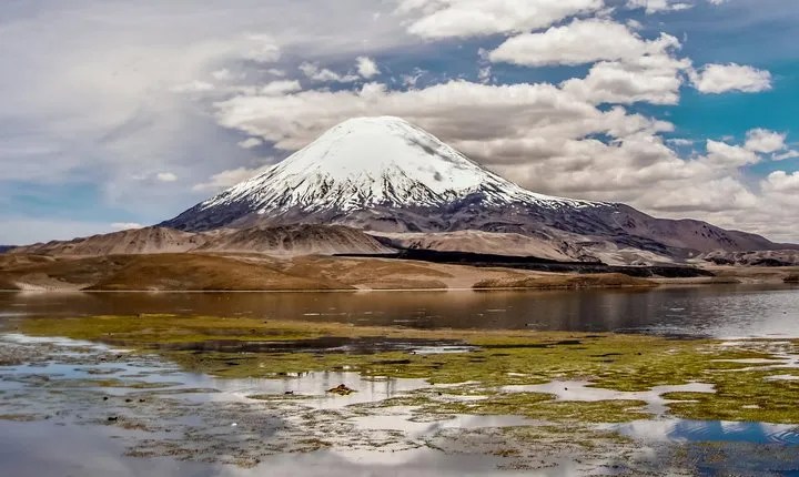 Lauca National Park 2D / 1N "Arica - Putre - Lake Chungará - Arica"