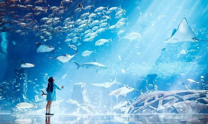 Atlantis Lost-Chamber Aquarium Dubai