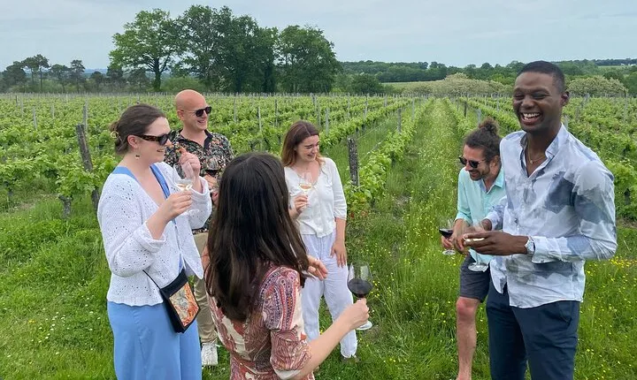 Half-Day Guided Wine Tasting Tour in Bordeaux Vineyards