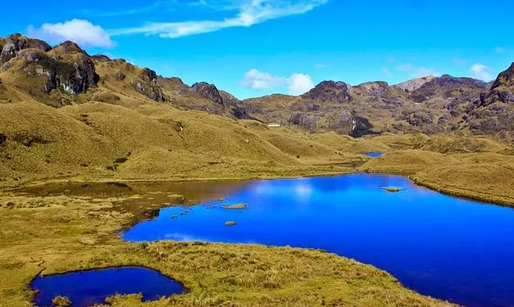 Private Cajas National Park and Cuenca City Tour