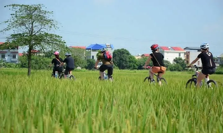 Bicycle Tours Hanoi: Full Day Bicycle Tours City & Countryside