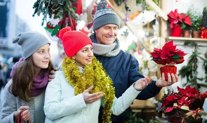 Private Walking Tour during Christmas in Kilkenny