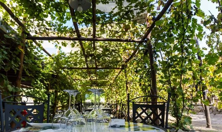 Wine Tasting Including Lunch