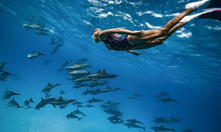 Snorkel at The Dolphin House Adventure In Hurghada