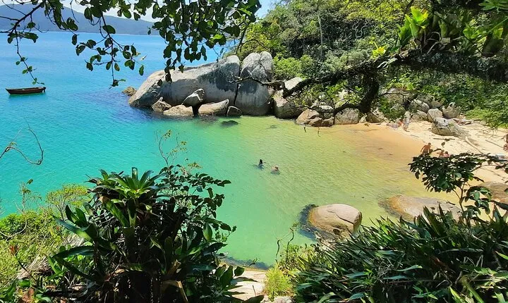 Boat Tour Beach By Zimbros Ecotour