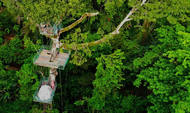1 Day Tree Climbing and Rappelling Experience with Accommodation