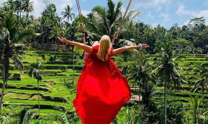 Ubud Tirta Empul Temple with Rice Terrace and Bali Jungle Swing 