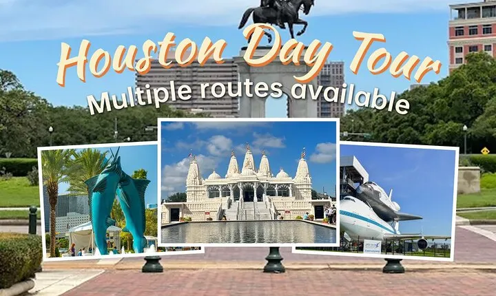 Houston Private City Tour with NASA Space Center Visit