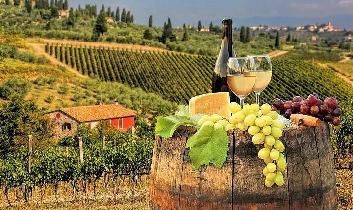 Private half day Tour to Chianti Classico from Florence