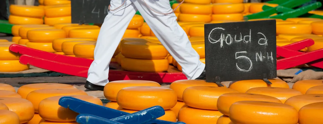 Charming Gouda cheese tasting tour
