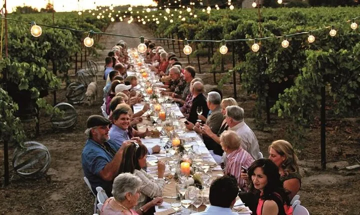 Dinner in the Vineyards