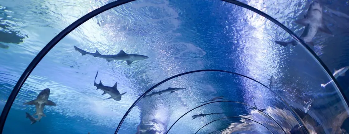 Antalya Aquarium tickets