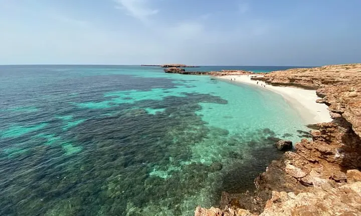 Snorkeling at Dimaniyat Islands and Dolphin Watching