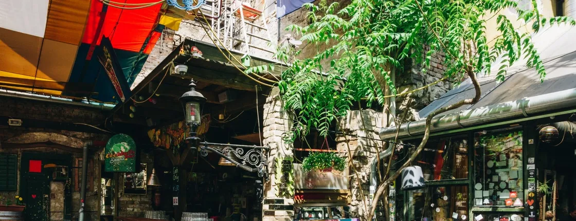 Budapest ruin bars private tour with a local