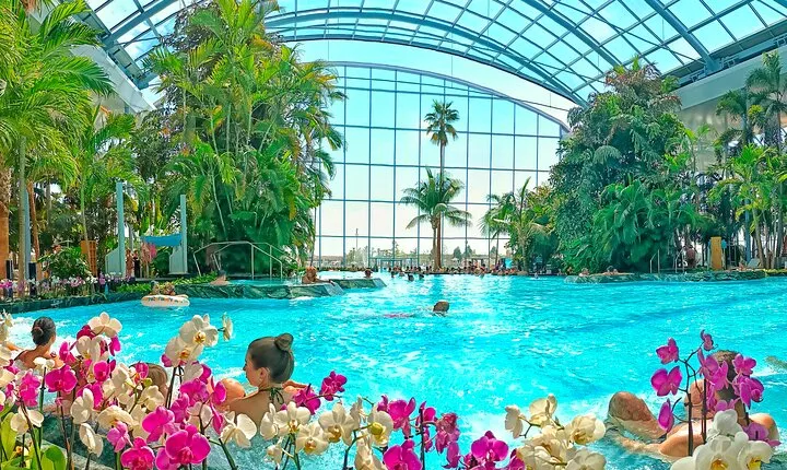 Therme Bucharest Tickets and Water Theme Park