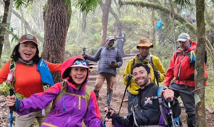 Kilimanjaro Northern Circuit Route 8 Days