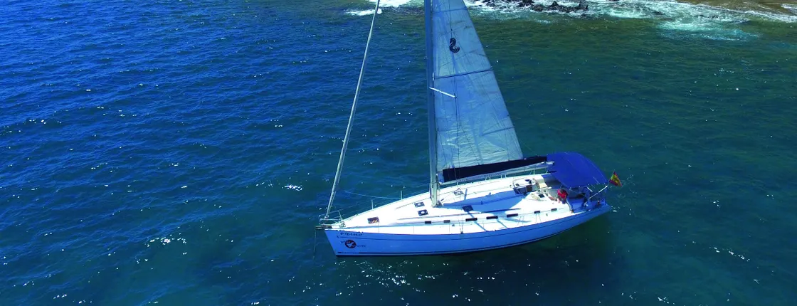 Whale and dolphin watching on an exclusive sailboat in Tenerife