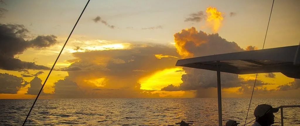 Party Sunset