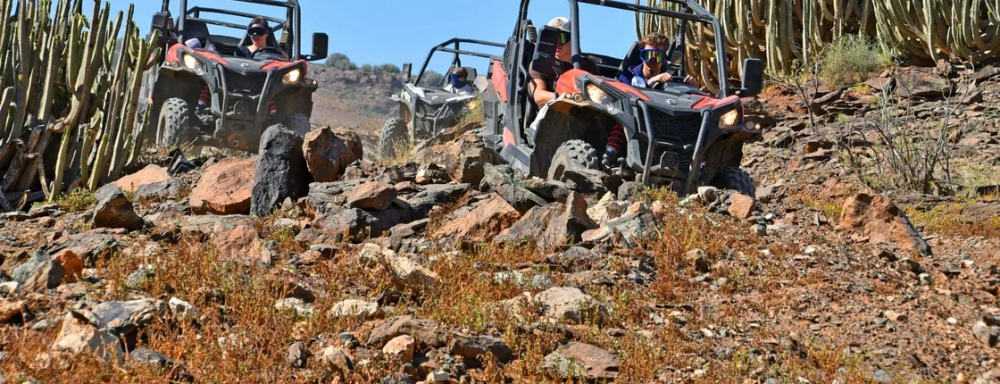Supercat Premium Catamaran Cruise & Off-Road Buggy Tour