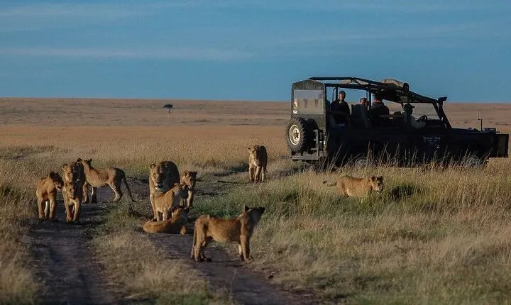 13 Days Gorilla, Masai Mara and Serengeti Wilderness Safari