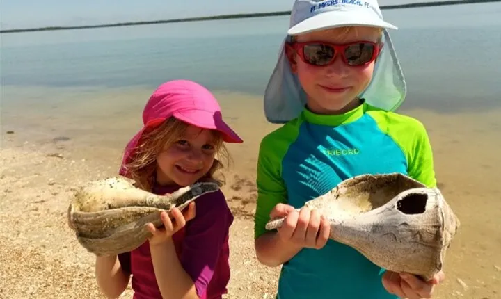 2 Hour Dolphin, Birding and Shelling Tour