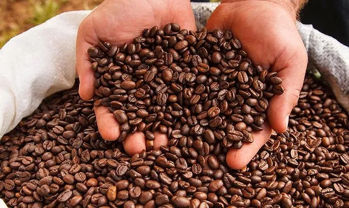 Coffee Tour, Grecia and Sarchi Oxcarts. Private Tour