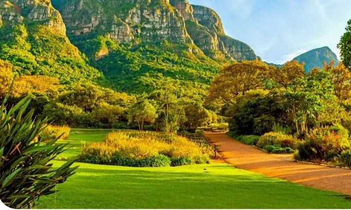 Table Mountain Kirstenbosch World of Birds,Diamond Factory incl