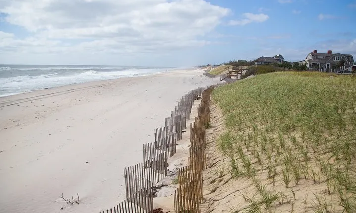 The Hamptons and Long Island Wineries Private Tour