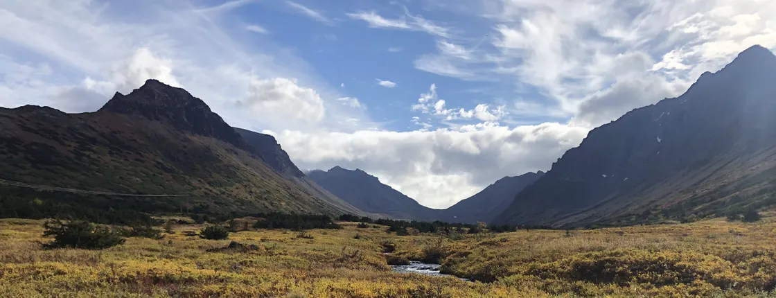 Flora and fauna nature walk in the Glen Alps