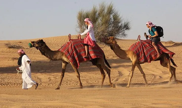 Desert Safari Tour, 6 Hour Fun, Family & Friends, Camel Ride & Dinner Included.