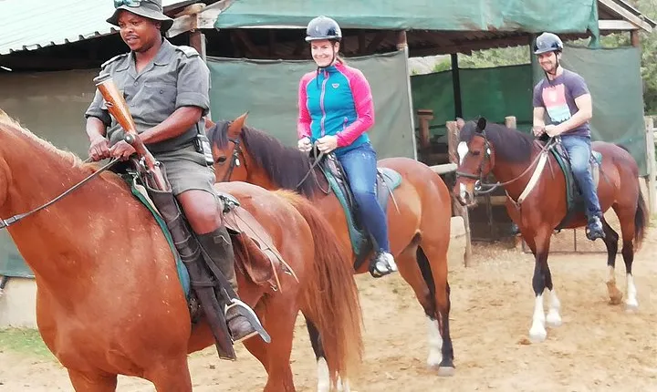 Addo Elephant Safari and Horseback Riding in Addo Combo