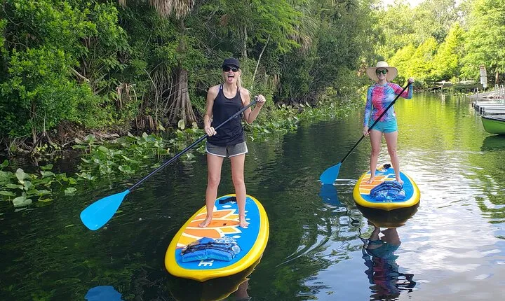 Florida Freshwater Springs Paddle Board Tour