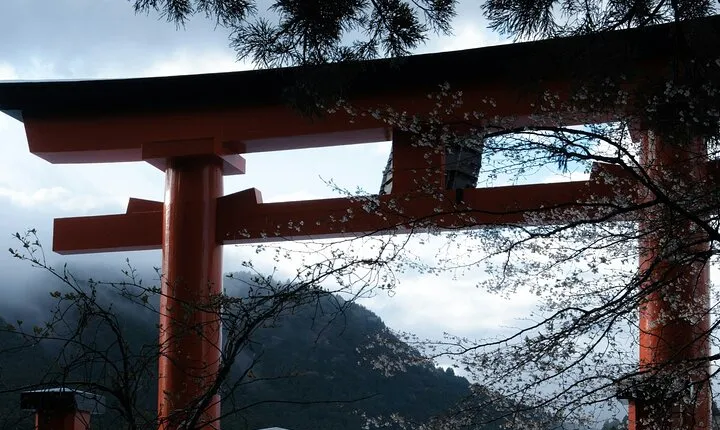 Hakone Lake Ashi cruise Hot Bath Private Sightseeing Trip