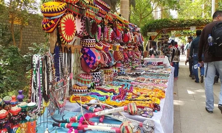 Aswan: Private Nile Boat Cruise and Botanical Garden Visit – 1 Day