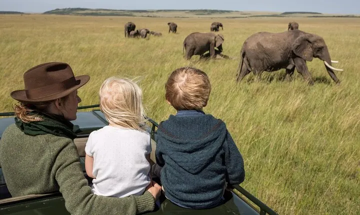 6-Days Private Midrange Safari: Serengeti & Mt Kilimanjaro Hike