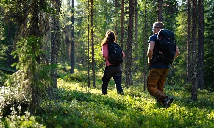 Wilderness Hike in Rovaniemi