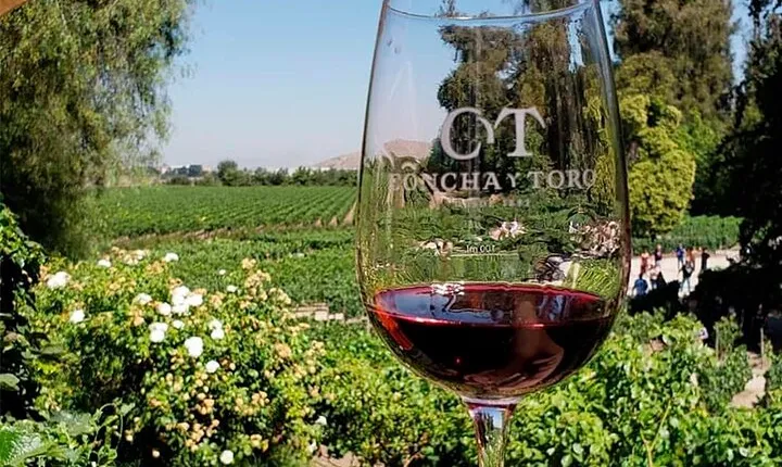 Concha y Toro Vineyard Tour From Santiago